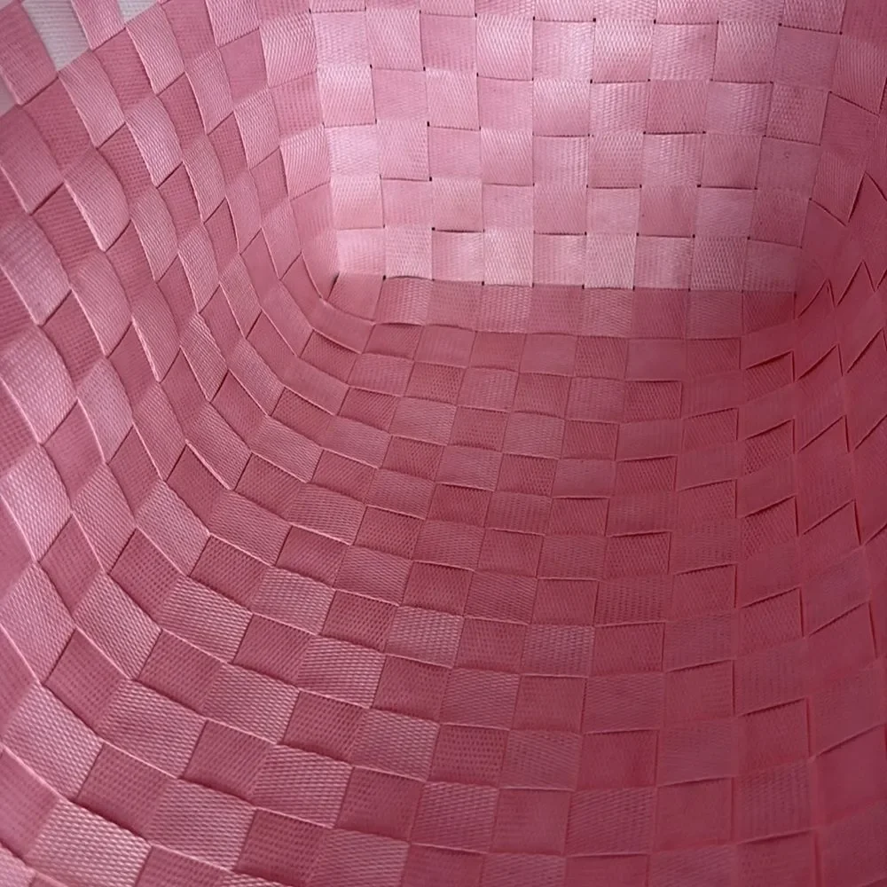 NWOT Kate Spade Ltd Edition Weekender Tote
